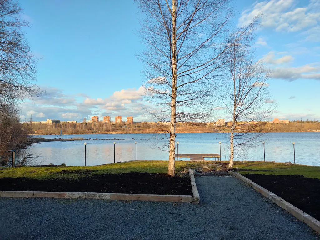 Дом Онежская Карелия