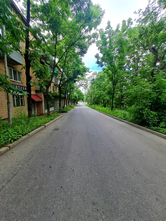 Квартира Уютная квартира в тихом районе — Владивосток