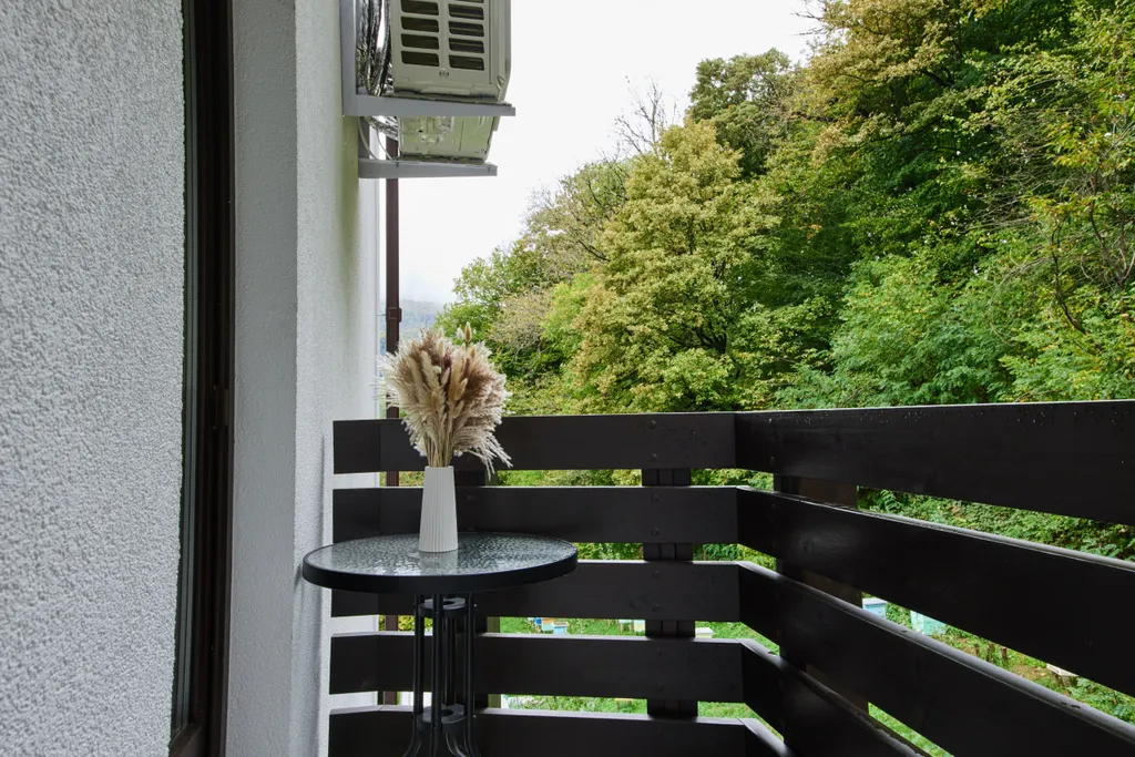 Панорамный двухместный апартамент комфорт с мини-кухней и балконом