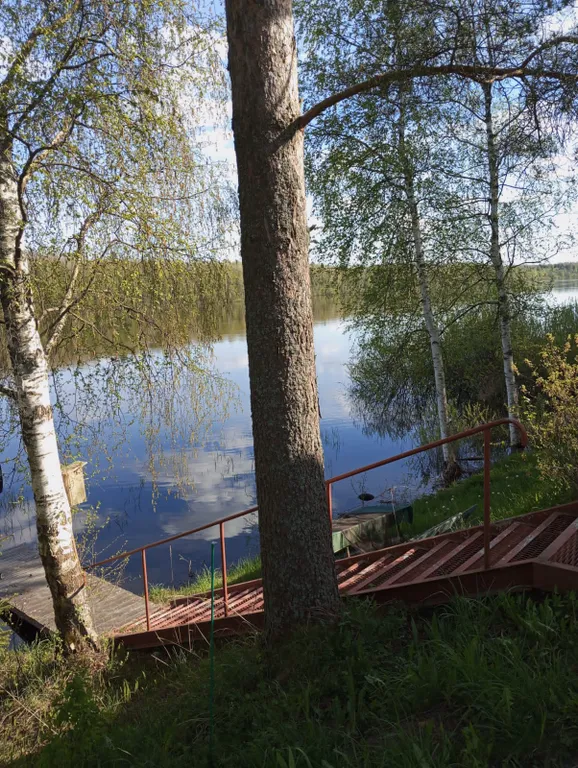 Коттедж Дом для семейного отдыха, Дом на Новый год — Кириши