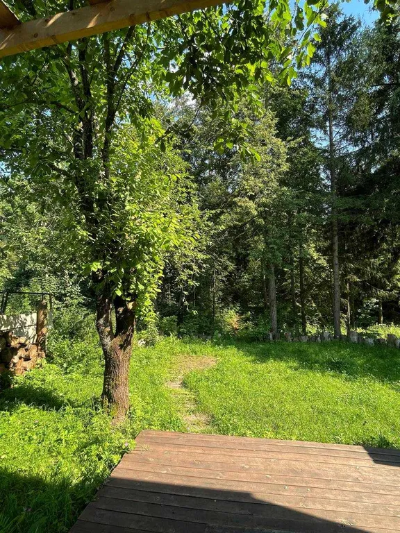 Коттедж Дом с баней в лесу — Хоругвино