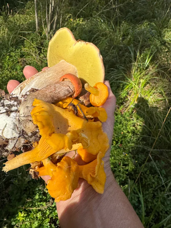 Избовье Добрыня - изба с русской печью