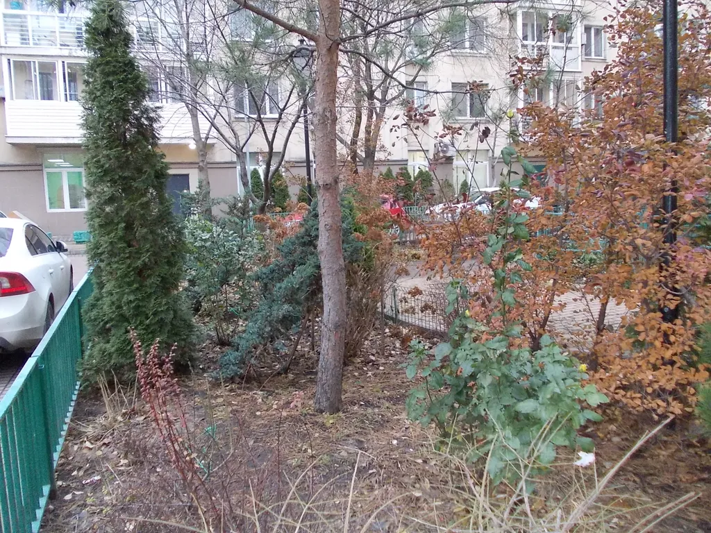 Комната в квартире