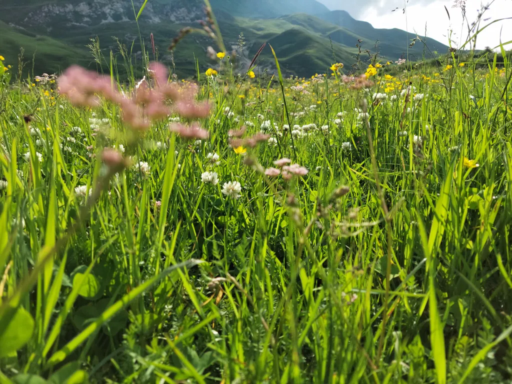 Коттедж Дом с верандой и видом на прекрасную долину - Новая веранда — Махачкала