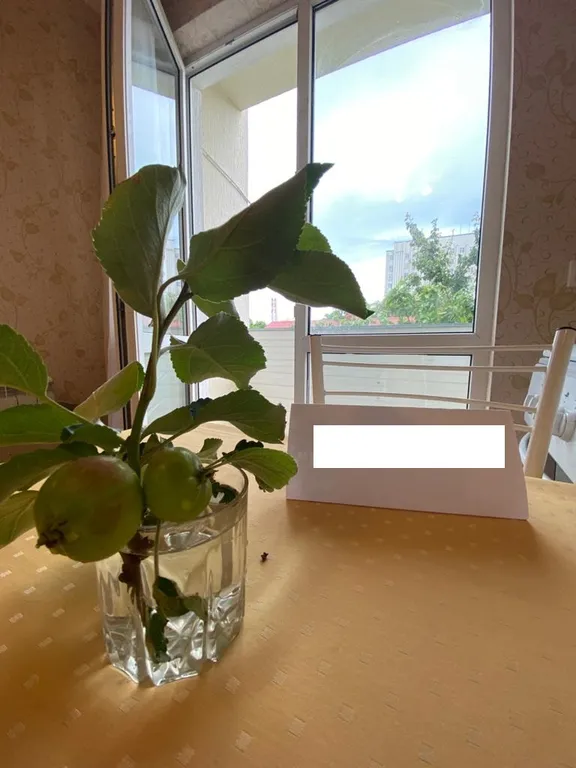 Квартира Квартира у моря — Геленджик