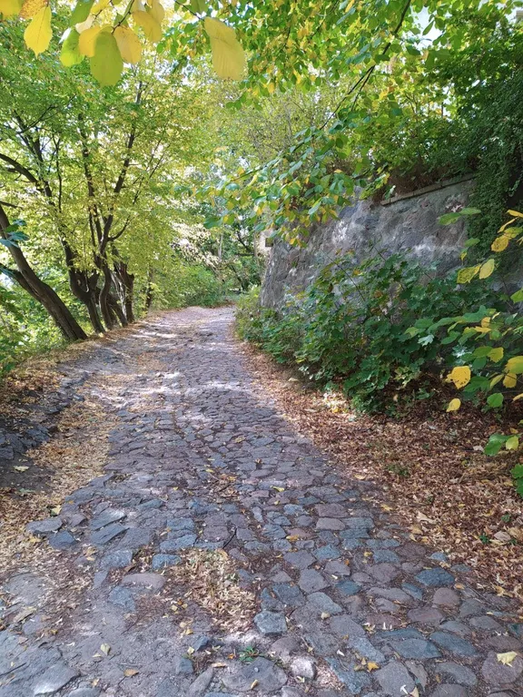 Квартира Квартира рядом с озером Тихое — Светлогорск