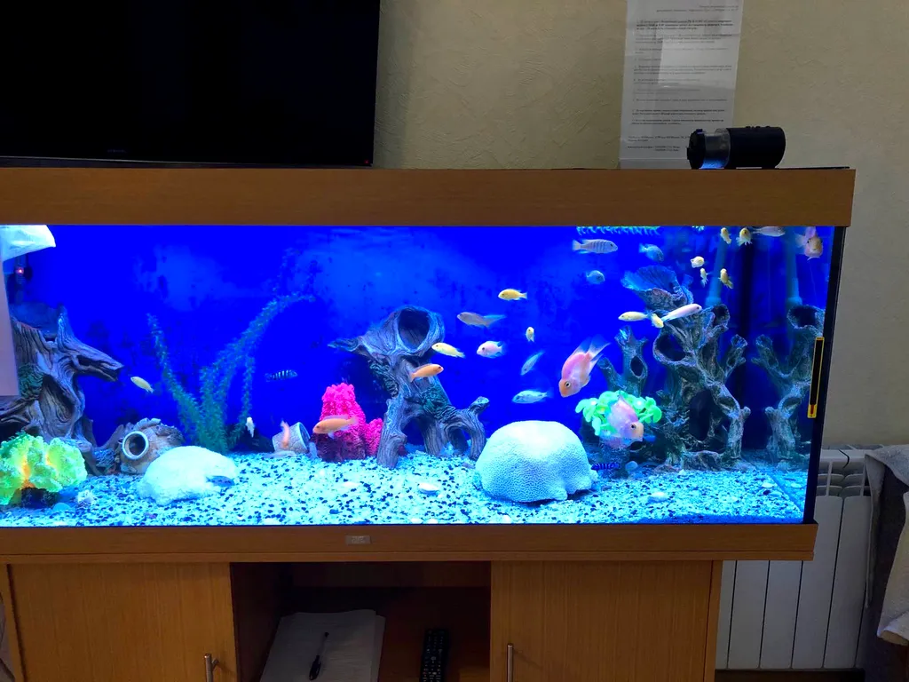 Апартаменты с аквариумом и видом на парк