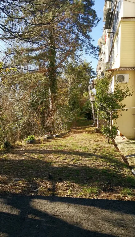 Студия в зелёном городке ввс