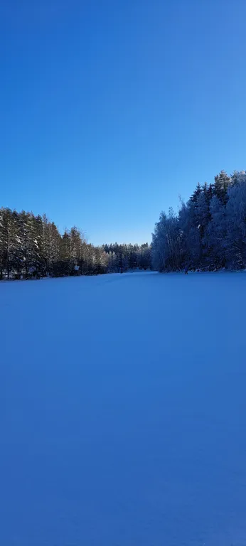 Дом в дубах