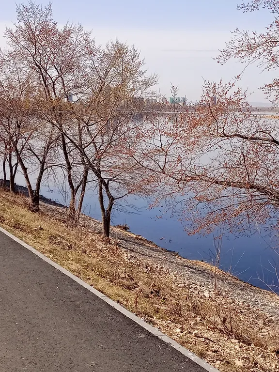 Уютная квартира рядом с набережной реки Волга