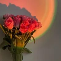 Элина