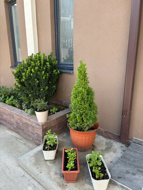 Уютный таунхаус с видом на море