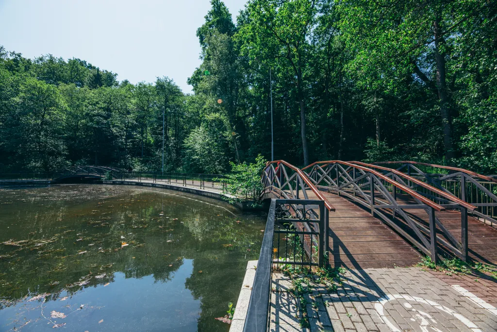 Квартира Квартира Апартамент Шепот волн — Светлогорск