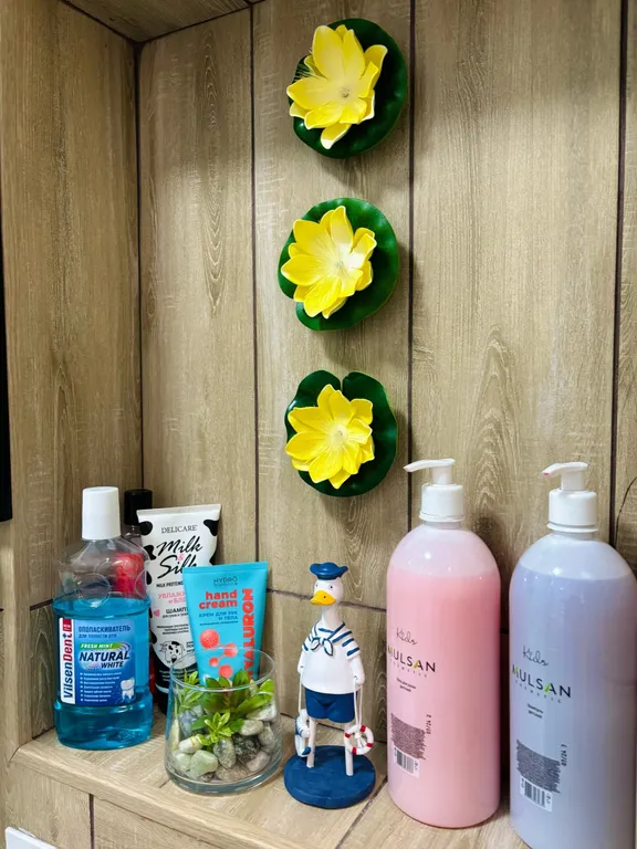 1-комнатная квартира в самом центре Петрозаводска