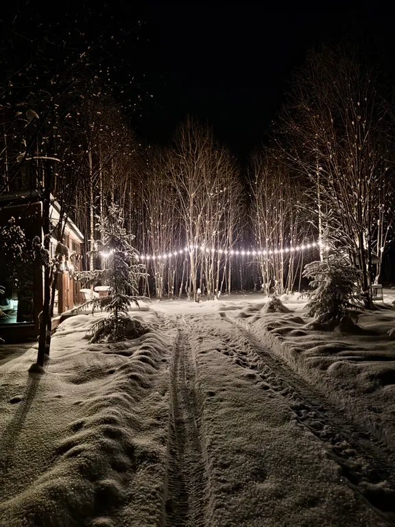 Стеклянный дом в лесу