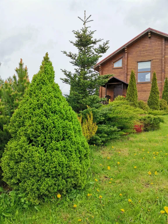 Загородный коттедж рядом с горнолыжными склонами