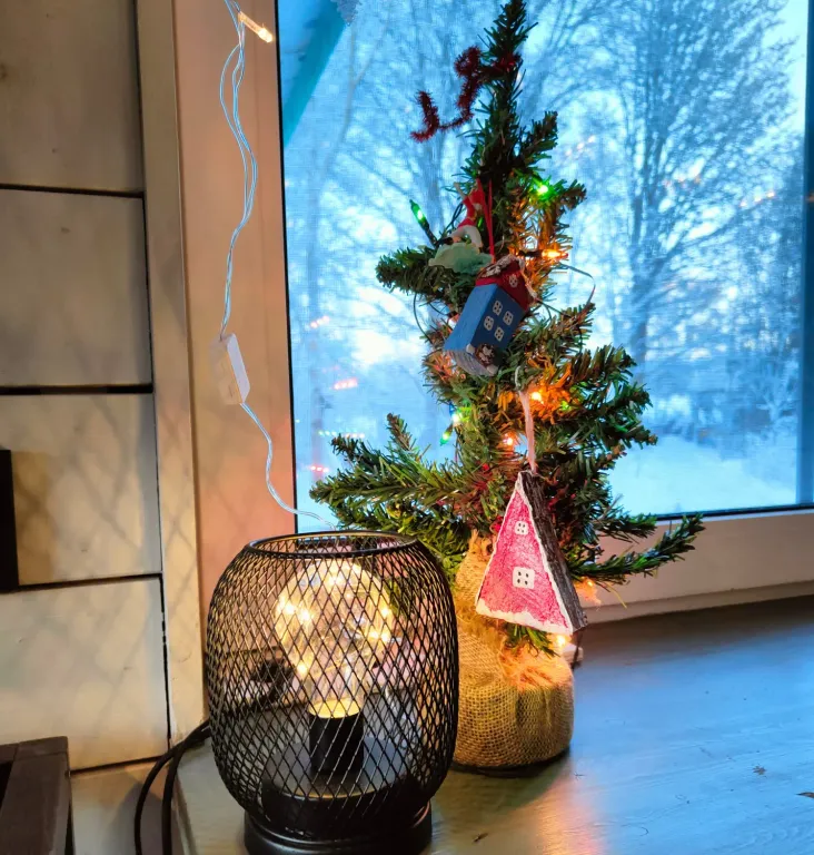 Коттедж Дом Леса — Краснознаменка