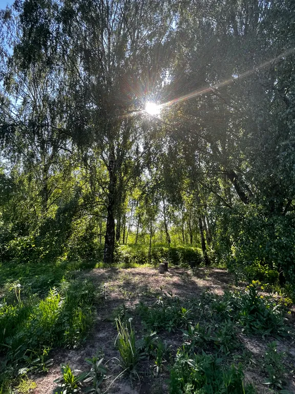 Дом с купелью на берегу реки