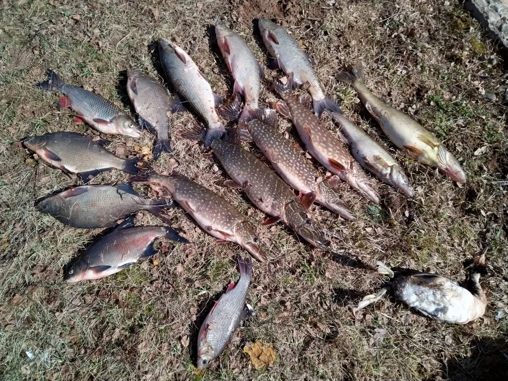 Домики в лесу на берегу реки Волге