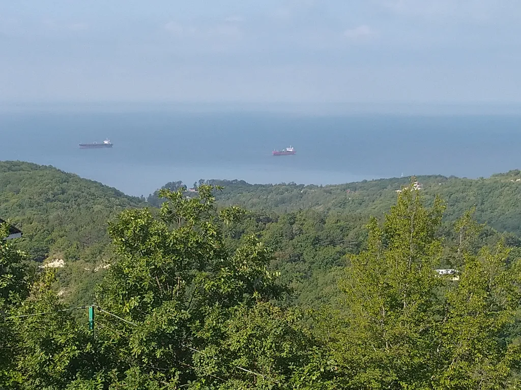 Бревенчатый дом 2 в лесу с бассейном