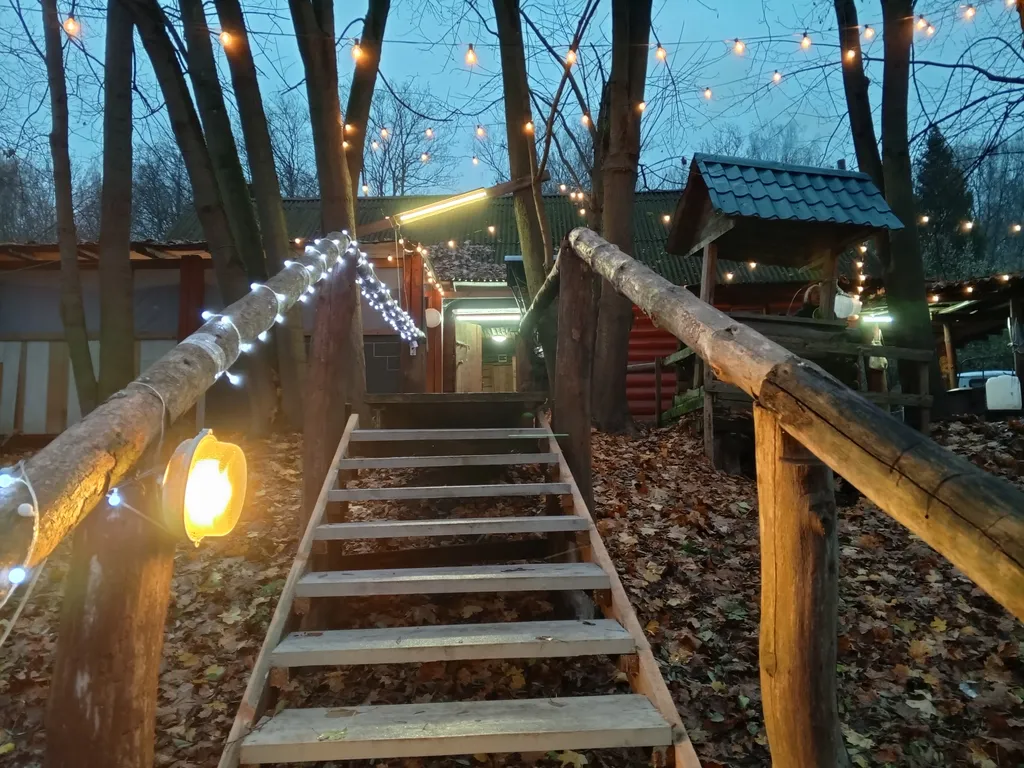 Новый год с русской баней на дровах