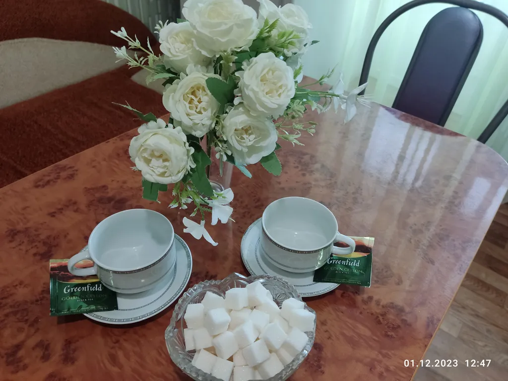 Апартаменты в гостях у Лилии