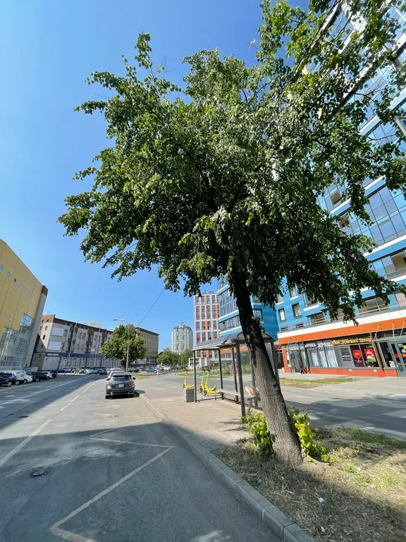 Квартира 1-комнатная Квартира — Санкт-Петербург