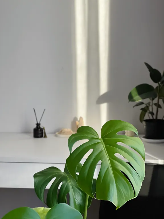 Уютная квартира с балконом