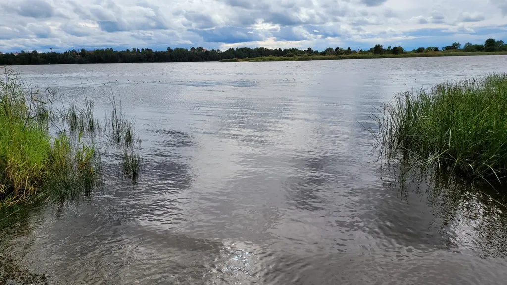 Дом с Русской баней возле Псковского озера