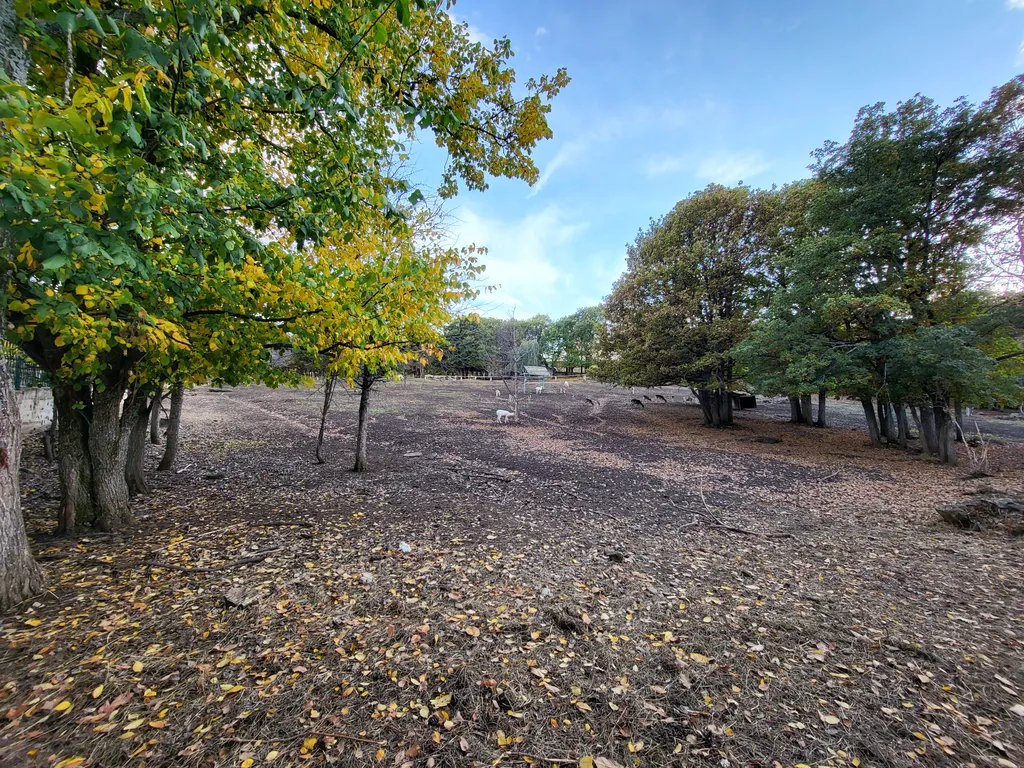 Апарт отель в Цахкадзоре, рядом со спорт базой
