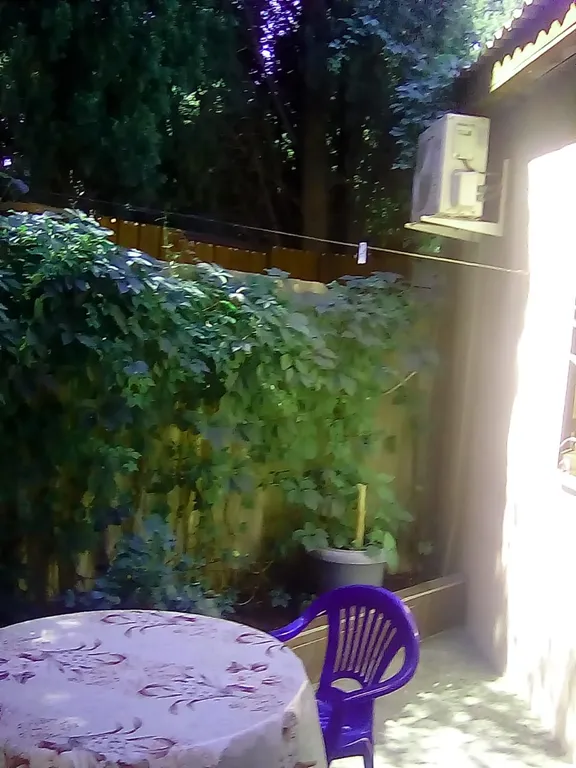 Домик с двором