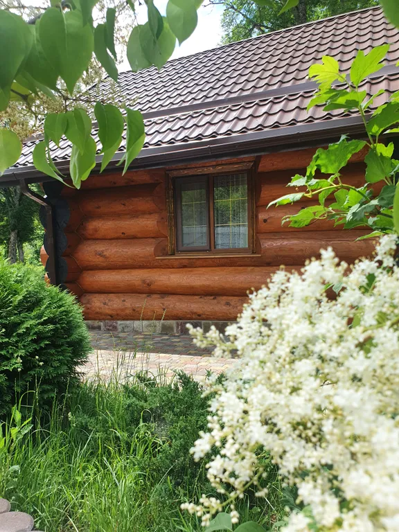 Дача отдыха Сосновая Роща