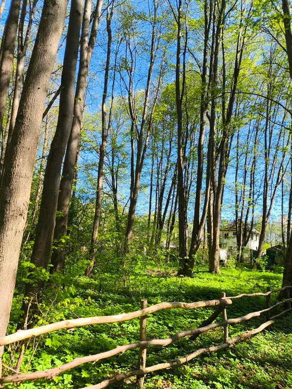 Дом для отдыха возле озер