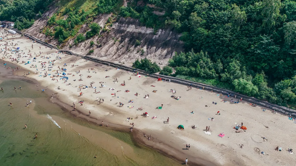 Квартира Уютные апартаменты — Светлогорск