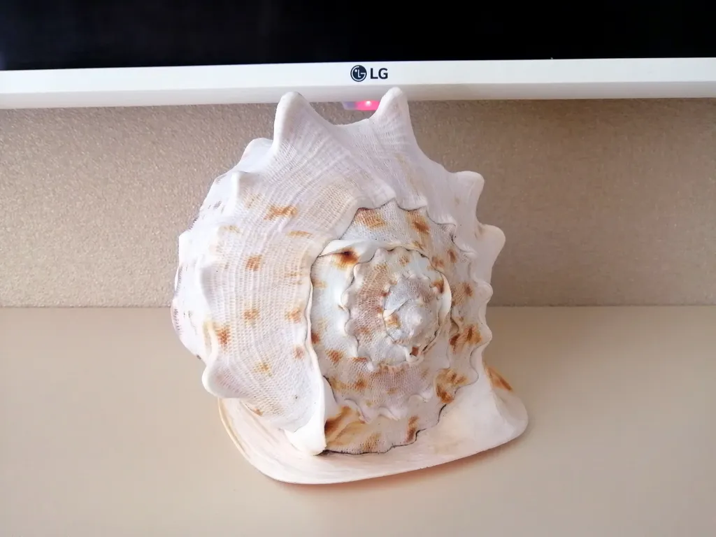 Апартаменты у моря