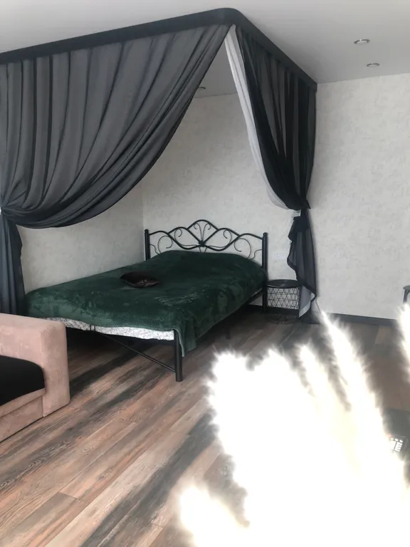 Отличная квартира черный кот