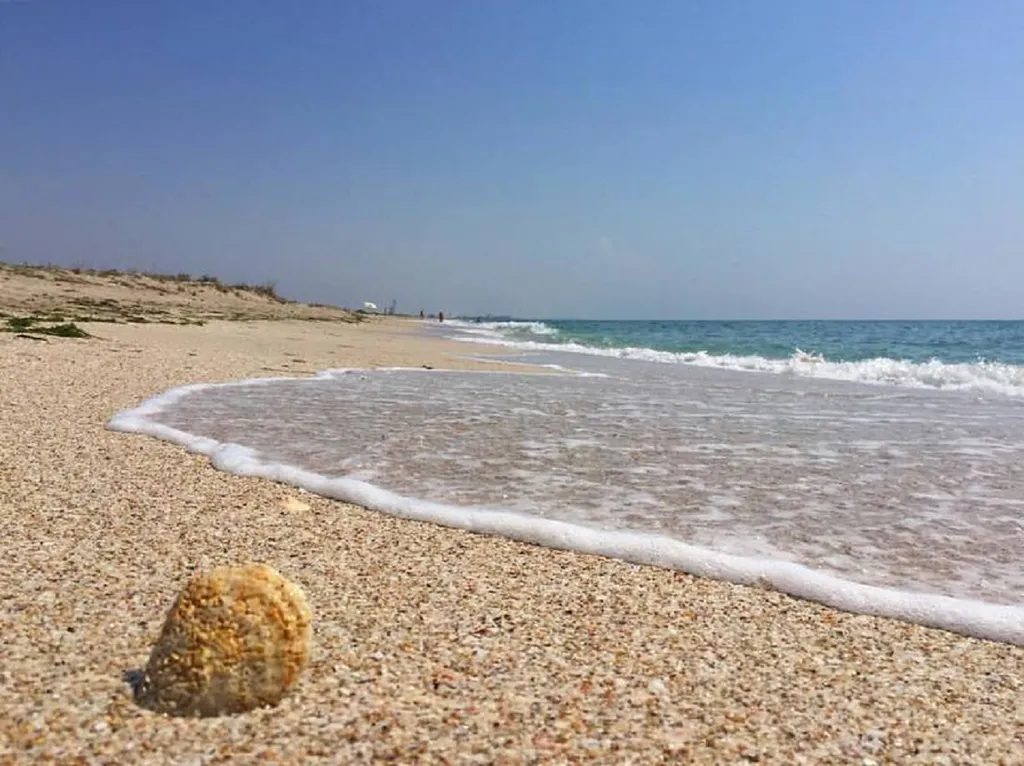 Жилье у моря, квартира, дом