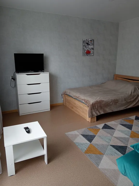 Большая, просторная квартира в центре города