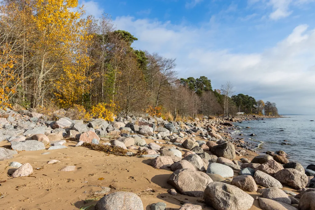 Стильная студия 626