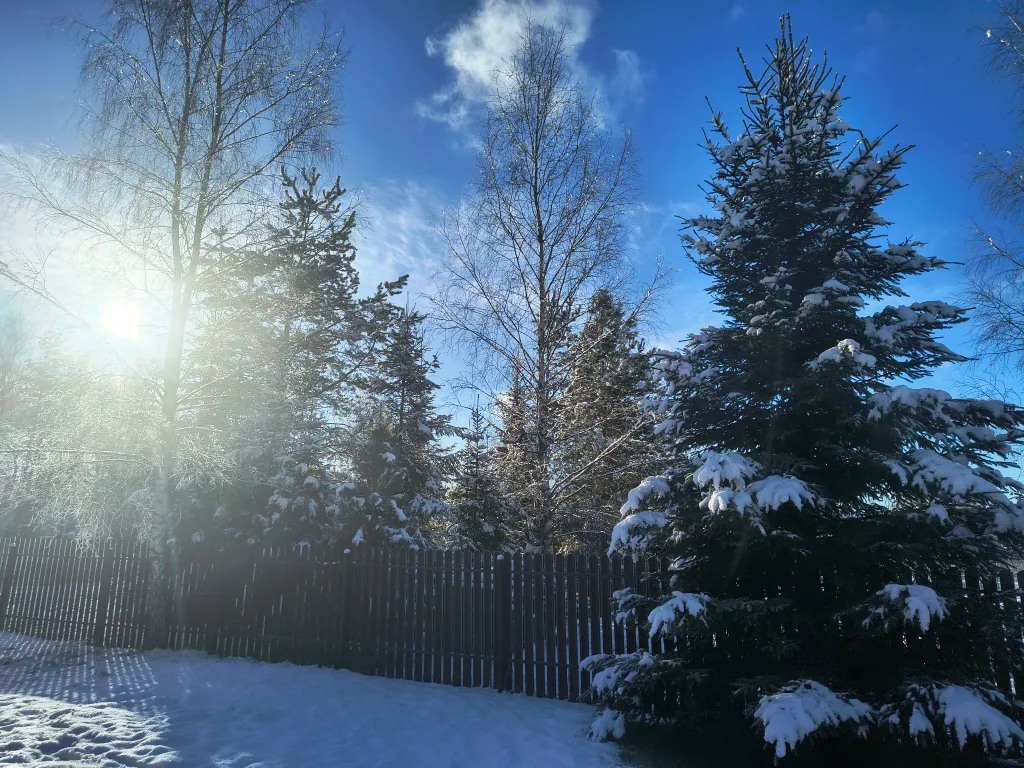 Русская усадьба с баней со швейцарским флёром