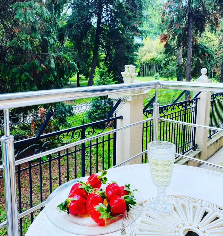 Квартира Апартаменты с видом на парк — Сириус