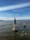 Максим