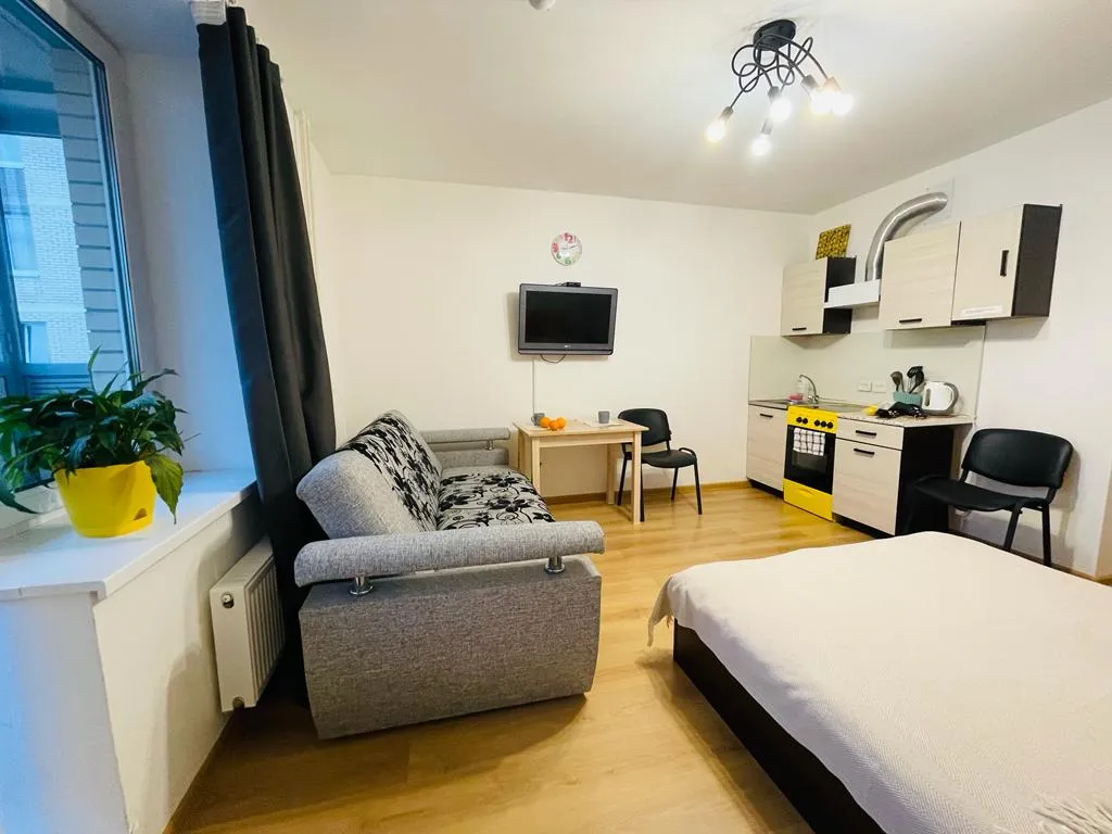 Квартира Квартира Студия у НИИ Петрова — Песочный