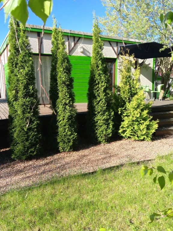 Эко-коттедж в центре Несвижа — аренда посуточно в Несвиж