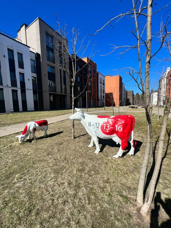Уютная квартира в Голландском квартале с парковочным местом