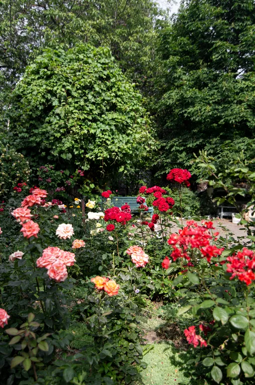 В гостях у бабушки-1-комнатная квартира