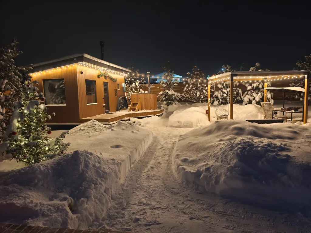 Skandi рыбка загородный дом у пруда в Подмосковье