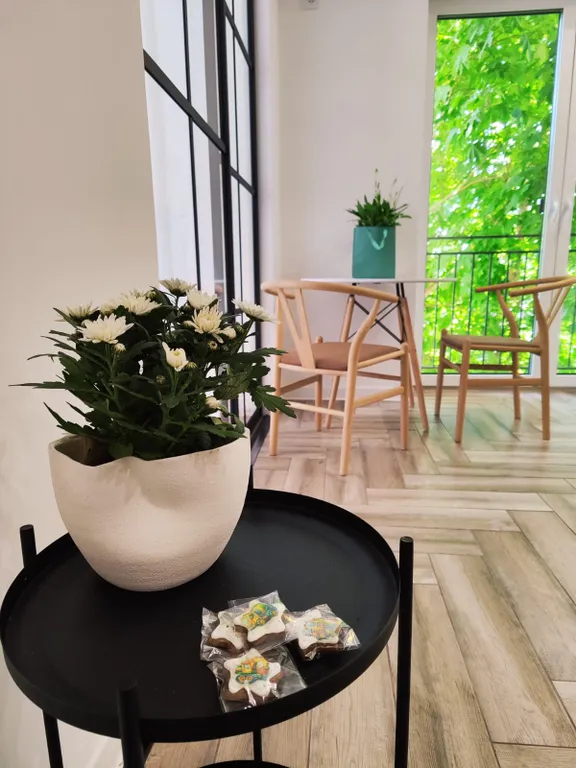 Уютная квартира с видом на парк