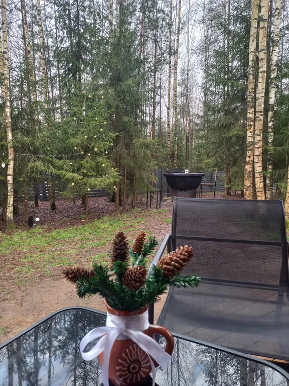 Дом Барин Лес