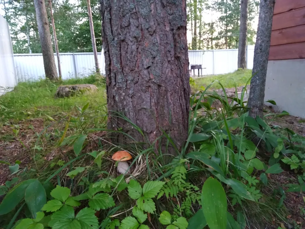 Дом с балконом